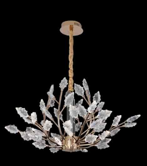Shop Image 1
