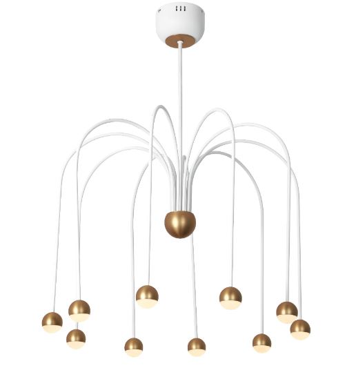 Shop Image 1